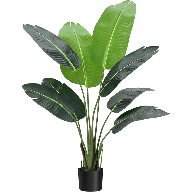 Plant, 216.1 cm x 198.12 cm