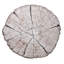 Birch Placemat