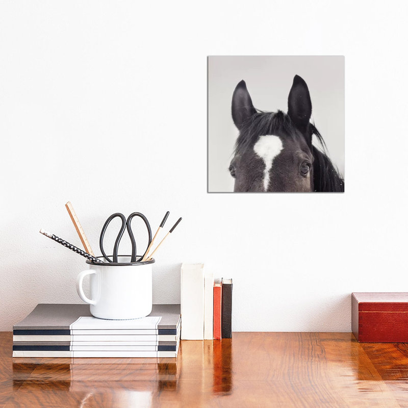 All Ears by Chelsea Victoria - Print on Canvas, Wrapped Canvas, 30.48 cm H x 30.48 cm W
