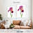 Harnek Lovely Iris Flower-108442929