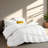 All Season Feather and Down Hotel Quality Comforter/Duvet Insert-1140565890