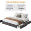 Structure de lit, structure de lit plateforme, tissu revêtu de tissu avec 4 tiroirs de rangement, aucun sommier tapissier requis, support de lattes en bois, silencieux, assemblage facile, gris foncé-231082853