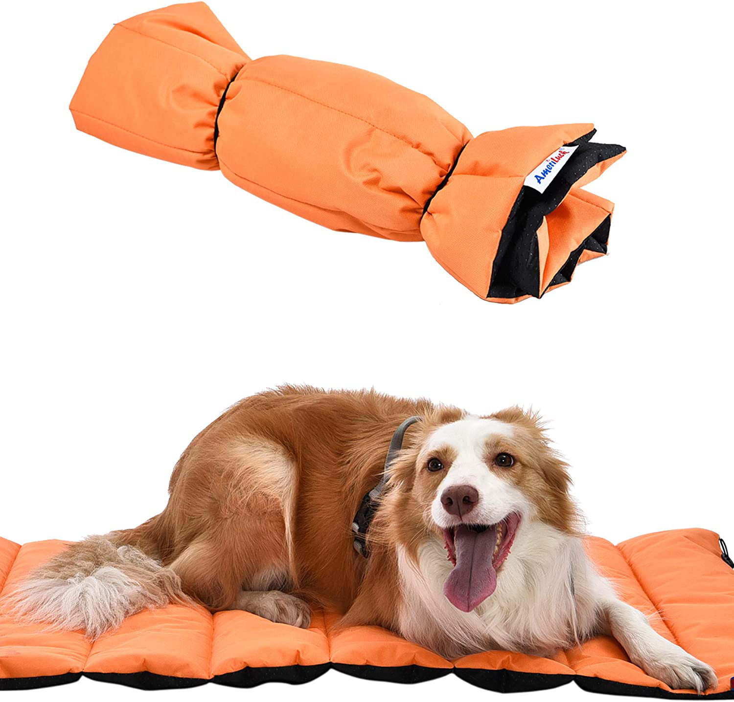 https://assets.wfcdn.com/im/59861767/compr-r85/2359/235907696/ameriluck-portable-dog-pad-easy-carry-travel-pet-mat-anti-slip-waterproof-machine-washable-large-orange.jpg