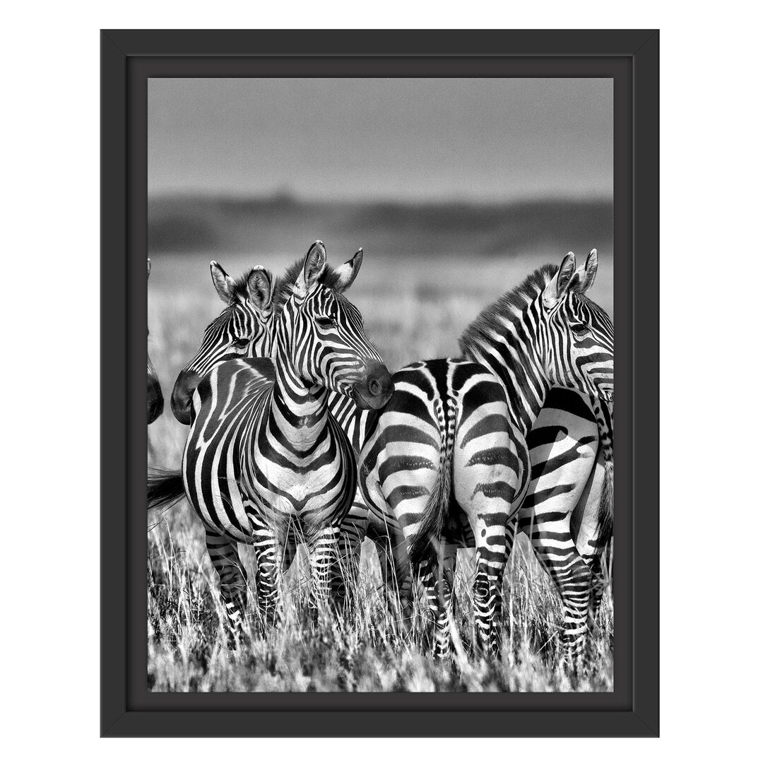 Gerahmtes Wandbild kleine Zebrahorde