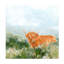 Art mural sur toile Foundry Select June Erica Vess Meadow Friend IV-856100333