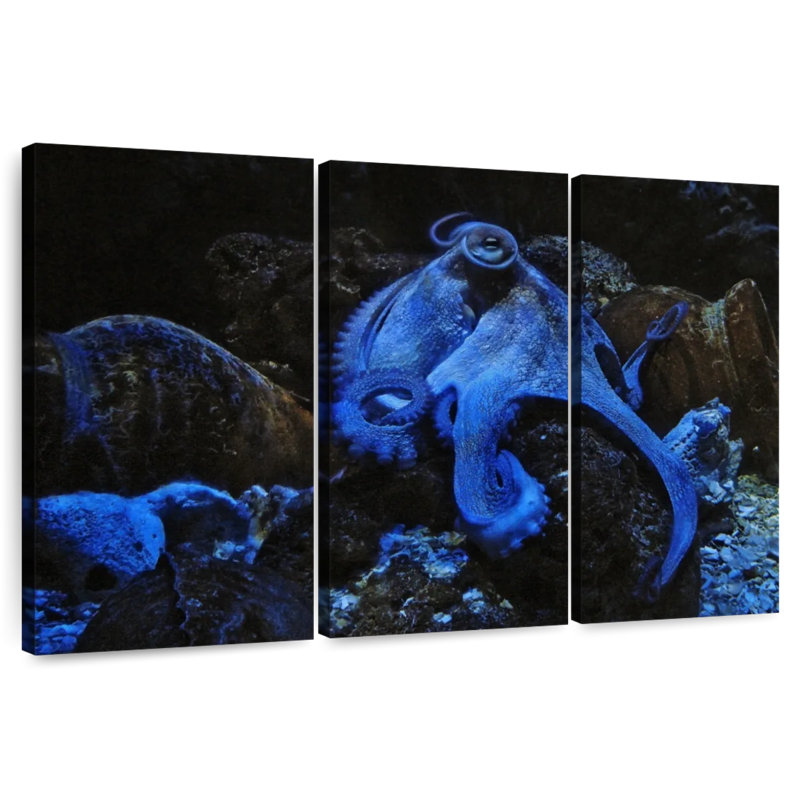 Stoic Blue Octopus, 36" H x 57" W