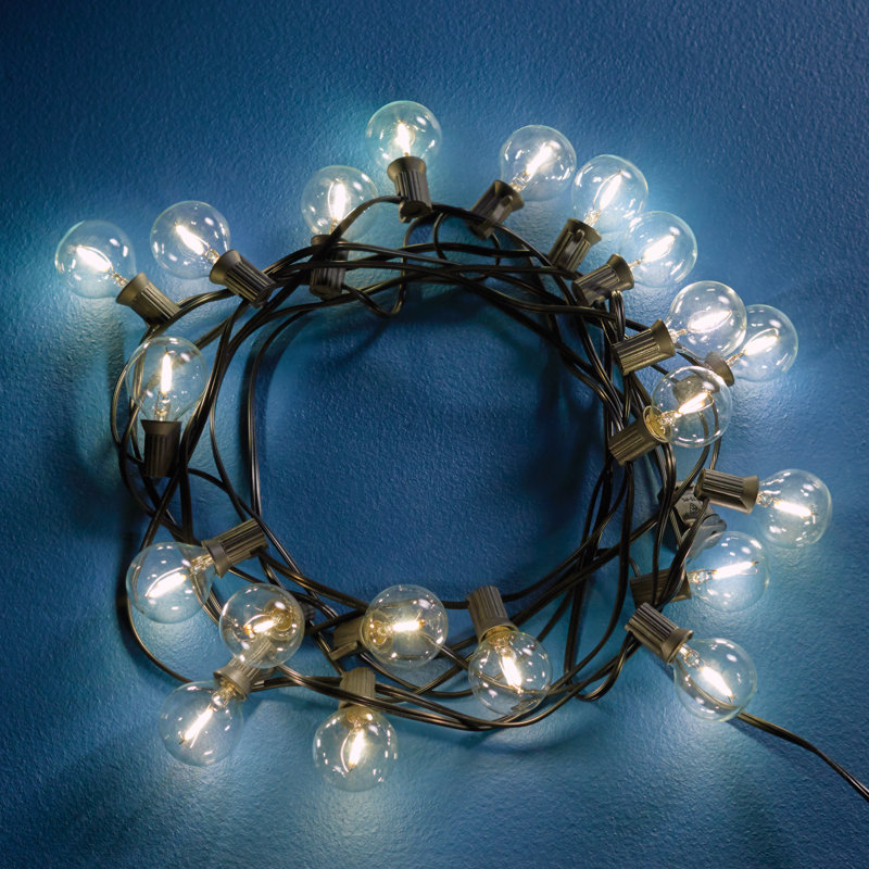 Kinsley 20 - Bulb 240'' Plug-in Globe String Light