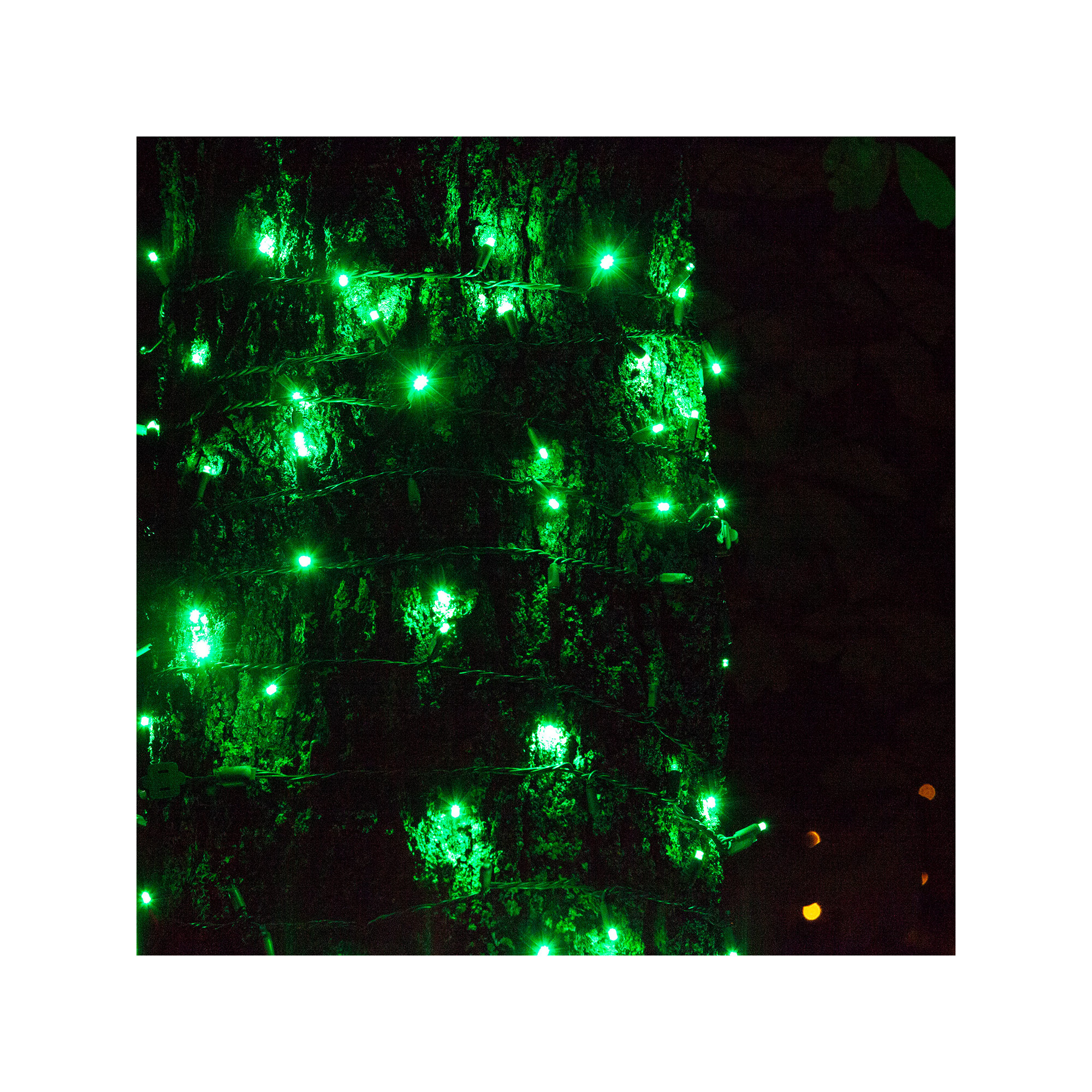 204" SoftTwinkle LED String Lights, Green