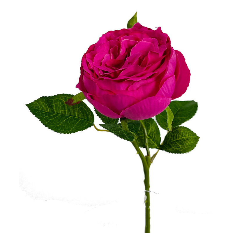 Fleur artificielle English Garden Rose, Crème au beurre