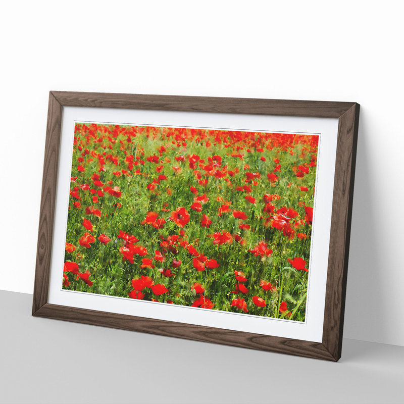 Field of Poppies Vol.2 - Framed Print, 36cm H x 48cm W x 2cm D, Walnut Framed