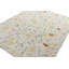 Distressed Homage Hand Knotted Wool Floral Area Rug-1733310631