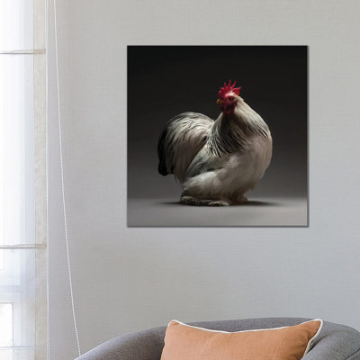 Columbian Cochin Bantam - Wrapped Canvas Print