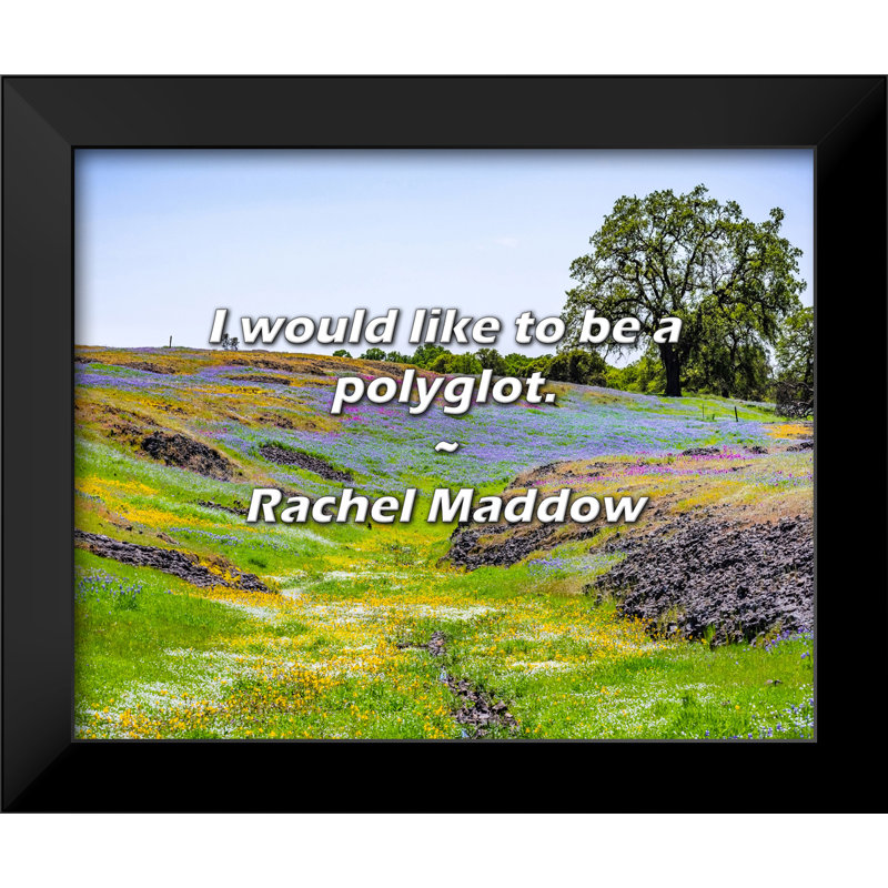 Rachel Maddow Citation: «I souhaitez être polyglotte».