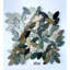 Mélange de couleurs - mosaïque de galets plats 12 po x 12 po