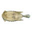 Animals Figurines & Sculptures-103100099-103100095