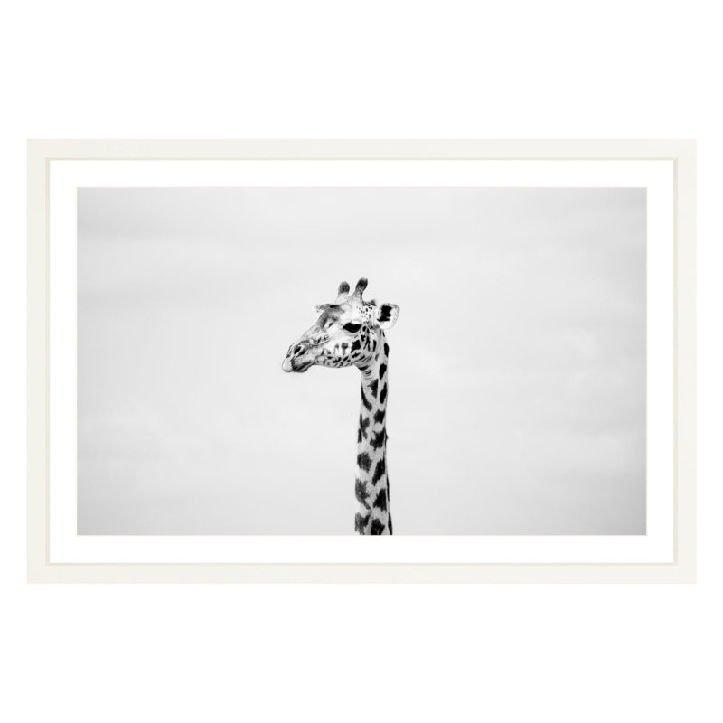 "Gerald" by Amanda Anderson, White, 24" H x 36" W x 1.88" D