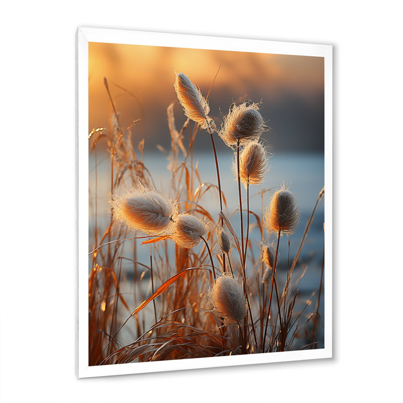 «Beachgrass Sunset Nature Herbs I», reproduction d'art sur toile, Cadre simple blanc, H 40 po x l 30 po x P 1,5 po