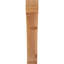 Attelle de genou Legacy-64751483-64784752