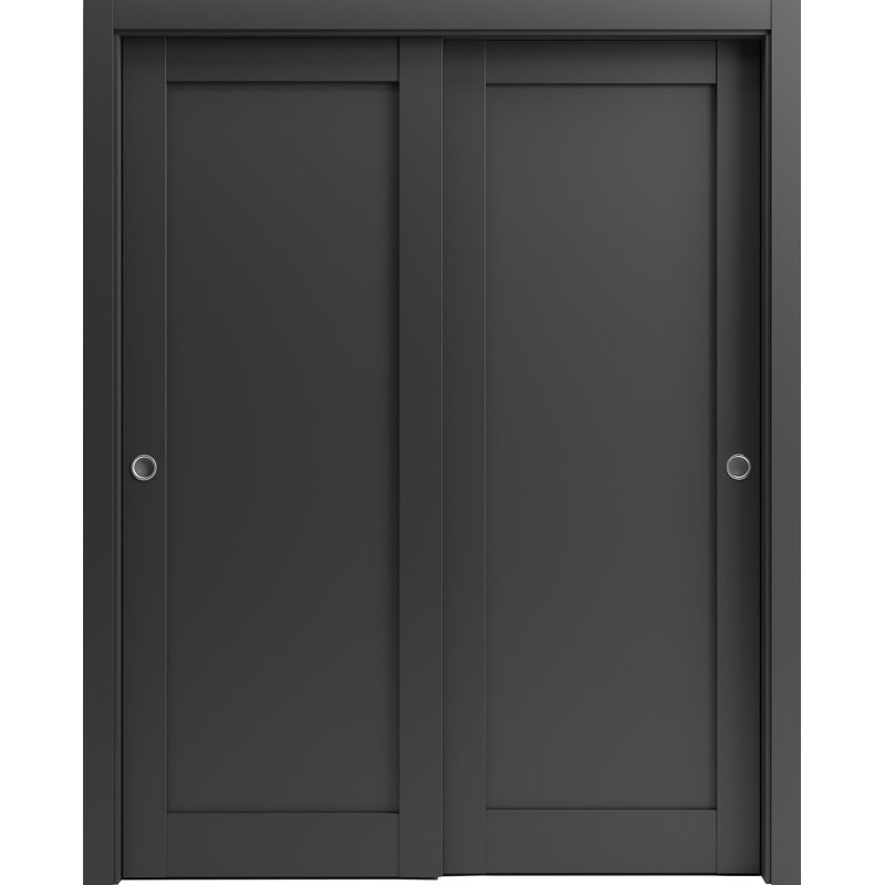 Portes coulissantes pour garde-robe coulissantes | Quadro 4111 noir mat | Ensemble de quincaillerie pour moulures Sturdy Rails