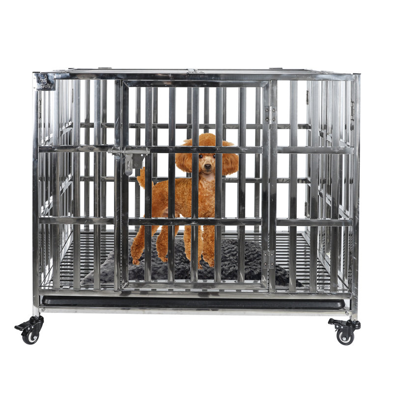 Cage pour chien en acier inoxydable 37 po