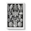 Barnacle by Ernst Haeckel - Wrapped Canvas-61875765