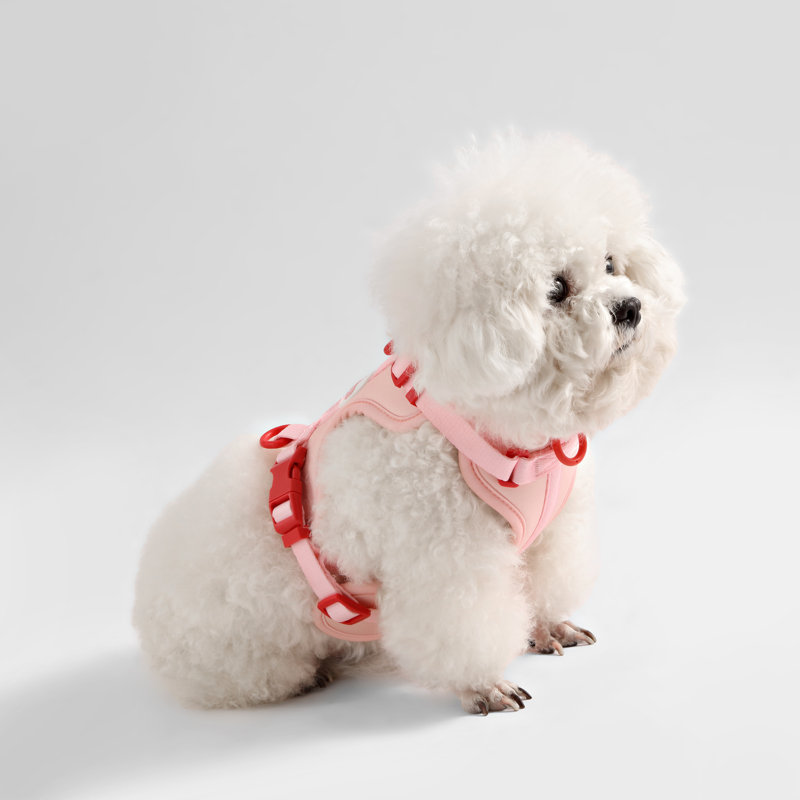 Harnais pour animal de compagnie Arlo, Rose