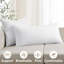 Coussin décoratif de qualité supérieure en microfibre vierge avec housse 100% coton-119313914-119313920