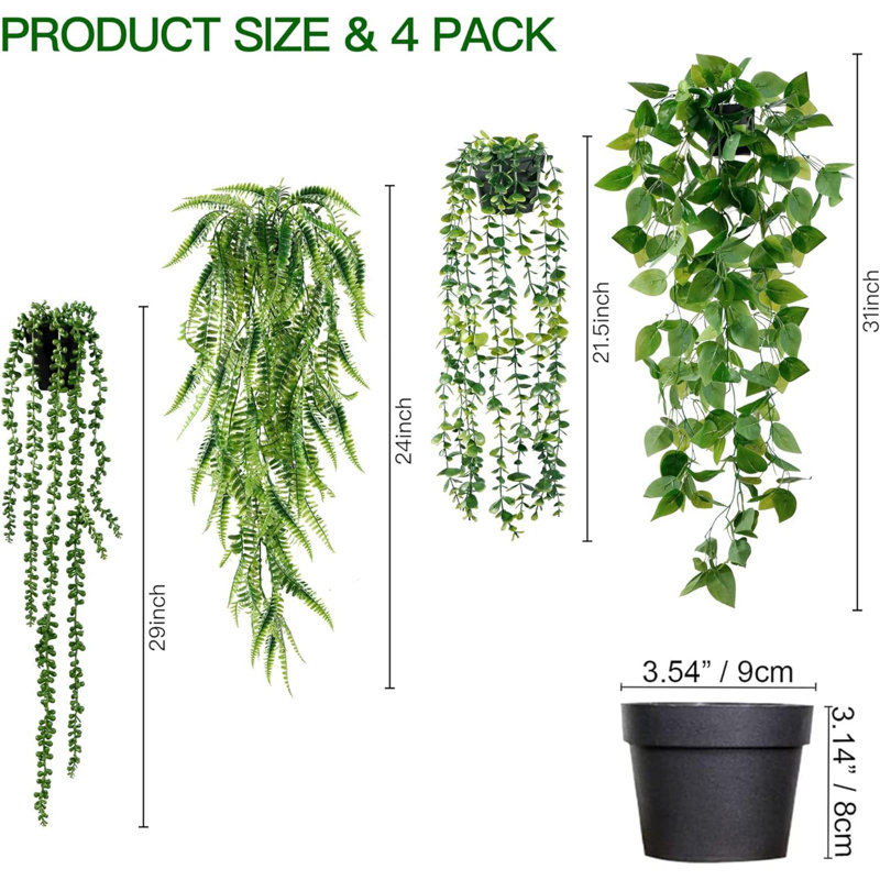Plantes suspendues Laroya