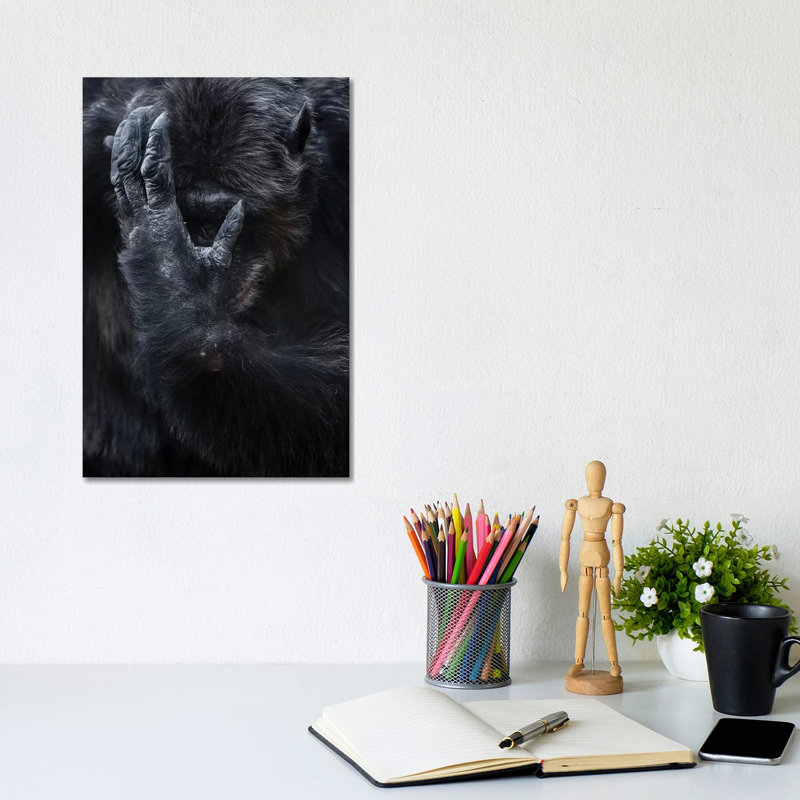 Chimpanzee I by Goran Anastasovski - Wrapped Canvas Print, 20.32 cm H x 30.48 cm W