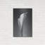 «Calla No. 4» par PhotoINC Studio-1996473090