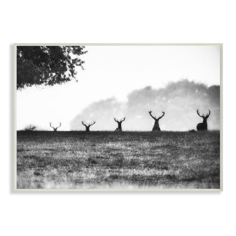 « cerf family photo », impression sur toile, H 10 po x l 15 po x P 0,5 po, Plaque murale