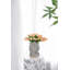 Fausse tulipe Tucson-1761452369-1761452374