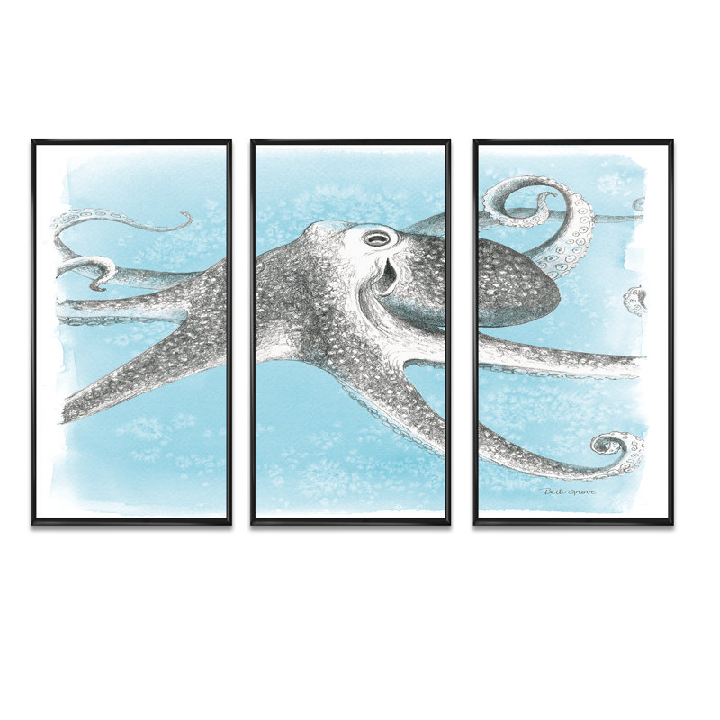 «Coastal Sea Life II Octopus Sketches», ensemble d'art mural sur toile encadré nautique et côtier, 32" H x 48" W x 1" D