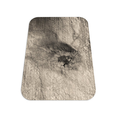 Nasear Chair Mat