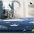 Hilger Navy/Ivory/Green Area Rug-1361001476