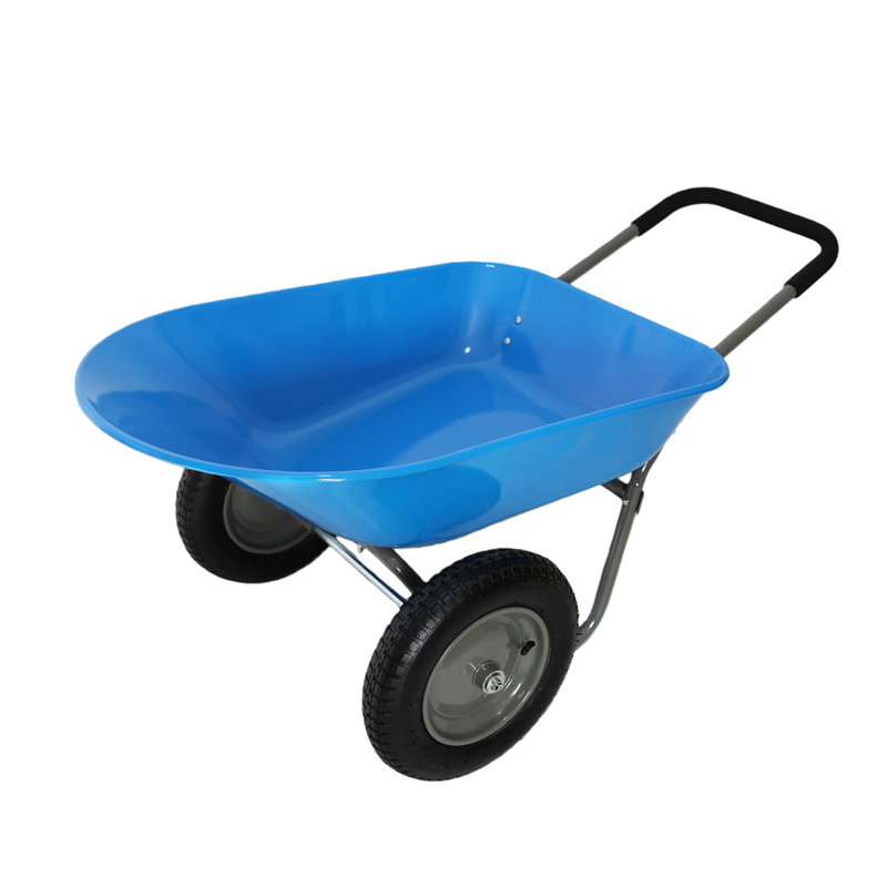 Brouette de jardin en acier à 2 roues avec pneus de 15 po, chariot utilitaire de jardin robuste