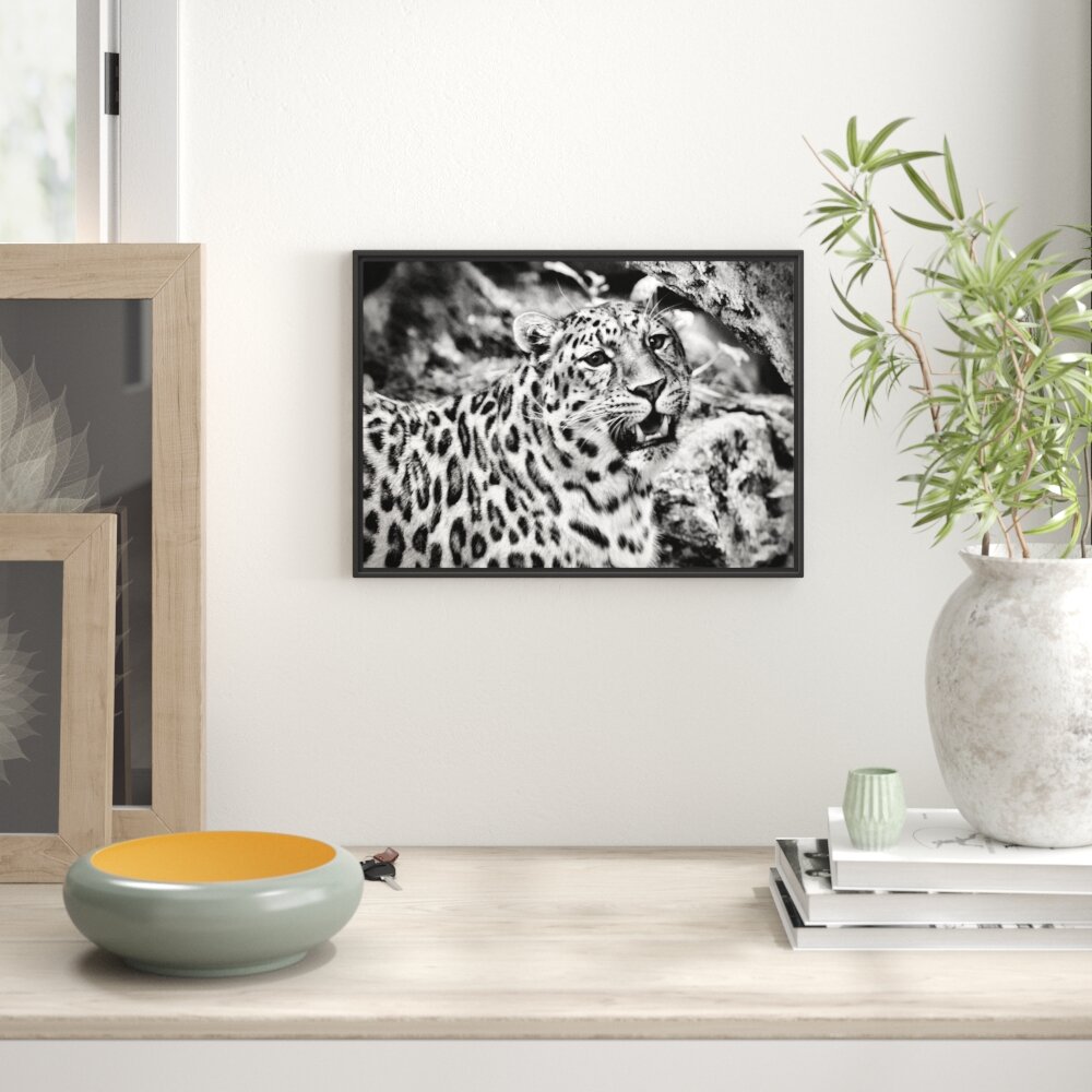 Gerahmtes Wandbild prachtvoller Leopard