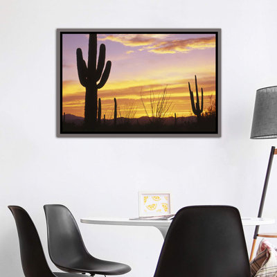 Coucher de soleil, parc national de Cactus Saguaro, AZ - reproduction de photo