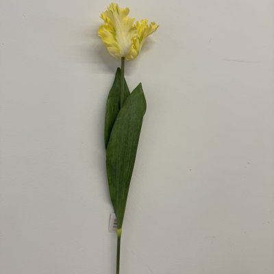 Jet de soie tulipe flamme de soie