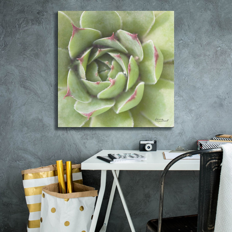 "Epic Graffiti" Garden Succulents 2 Color "par Laura Marshall, art mural sur toile, H 26 po x l 26 po