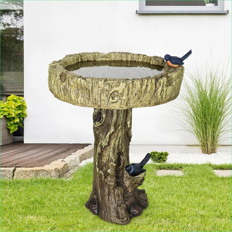 Bains d'oiseaux | Bain d'oiseaux d'extérieur en béton brun clair brun clair 24,4 "pour patio de jardin | Ciment en béton | Piédestal à un niveau