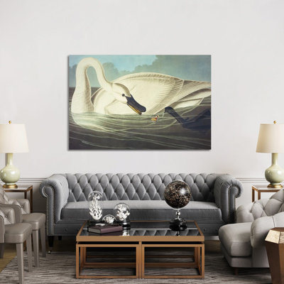 Trumpeter Swan II by John Audubon - Painting on Canvas