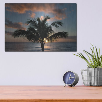 «Palm Tree Sunset II» par Dennis Frates