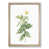 Oak Framed selected