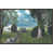 Image Brush Gel selected