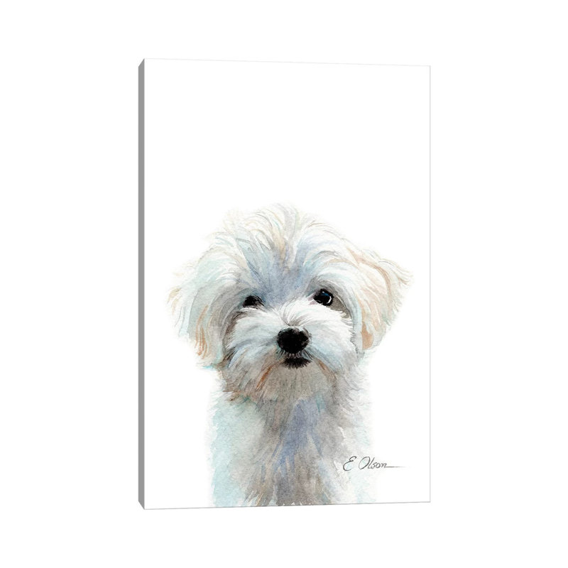 Maltese Puppy - Wrapped Canvas Painting, 101.6 cm H x 66.04 cm W x 3.175 cm D