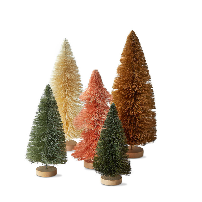 Broussailles S / 5 arbres de sisal mélangés