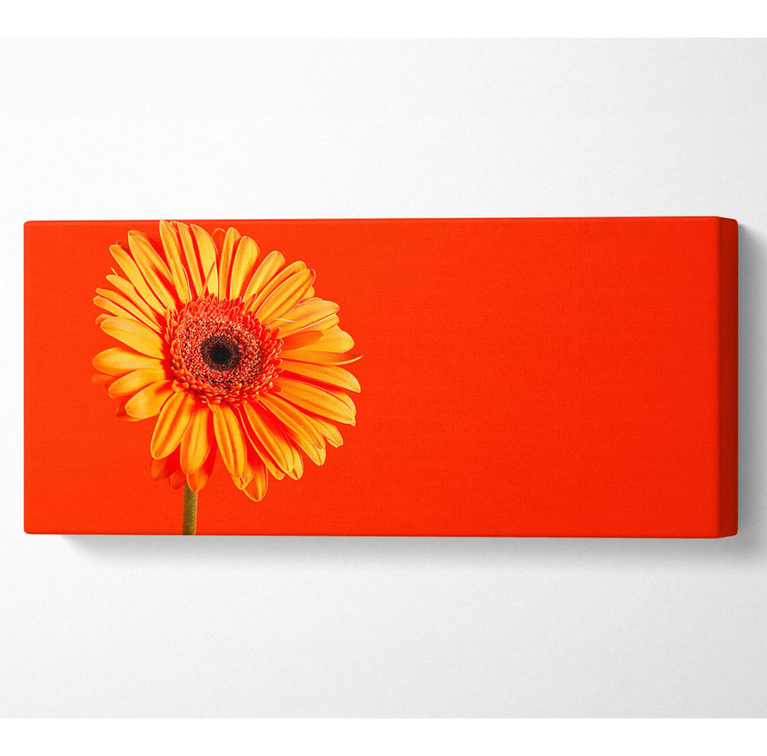 Orange auf Orange Gerbera - Kunstdrucke auf Segeltuch