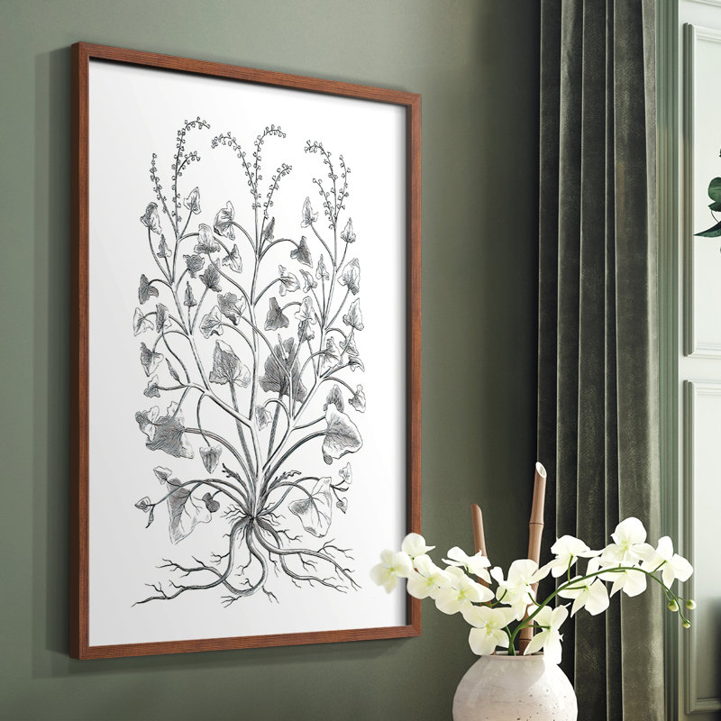 «B&W Plant Speciment», reproduction encadrée - bois massif, Brun, H 20 po x l 16 po