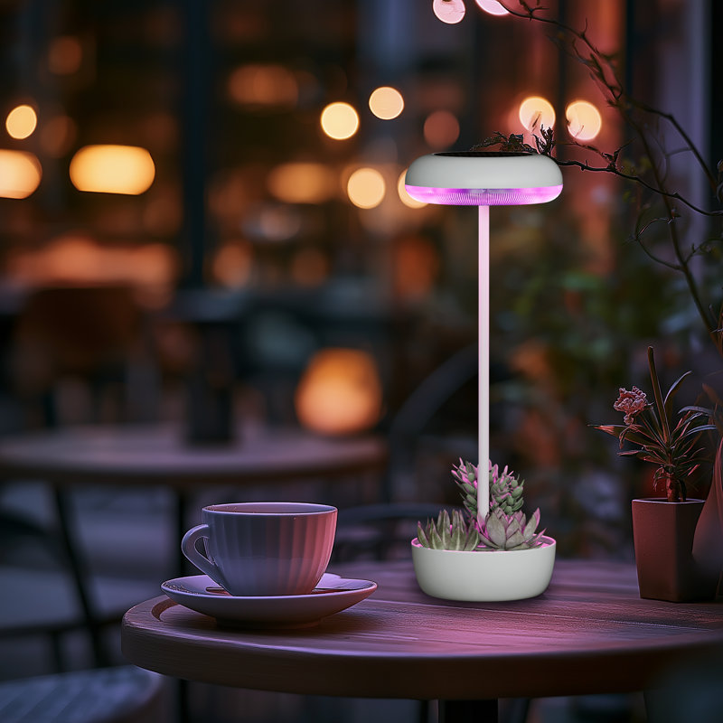 Lampe de table d'extérieur en métal 13,75 po Aluna, Blanc